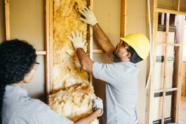 Types of Insulation We Offer in Prince Frederick, MD